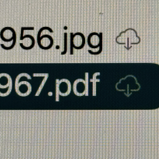 Close up of file listing on computer showing jpg and pdf filetypes