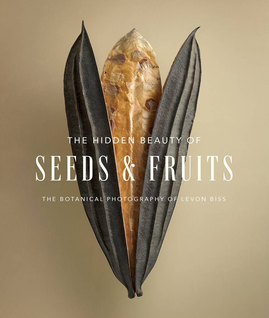 The Hidden Beauty of Seeds & Fruits: The Botanical