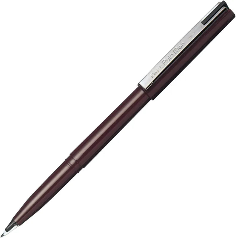 Pluman Plastic Founten Pen - Black